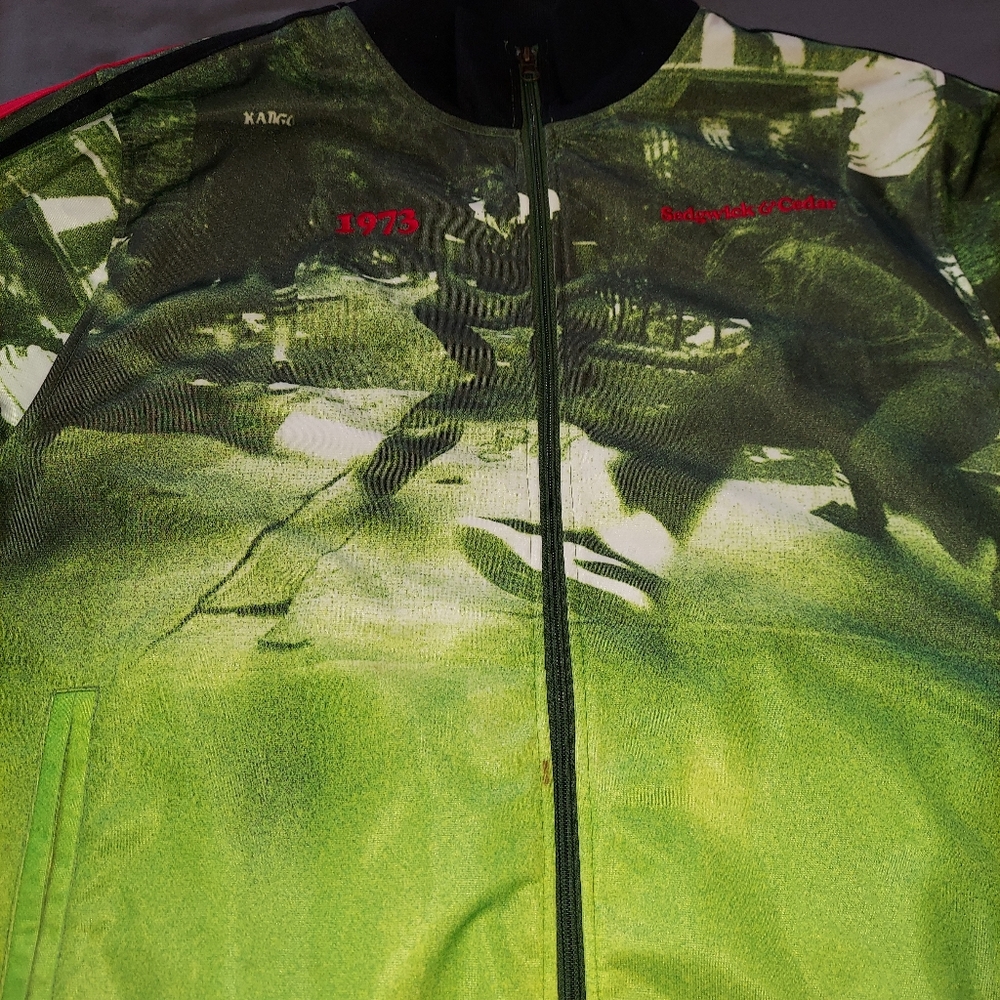 Men's zip-up jacket
